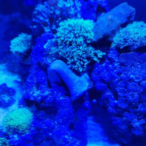 IMG_20220927_065116.jpg