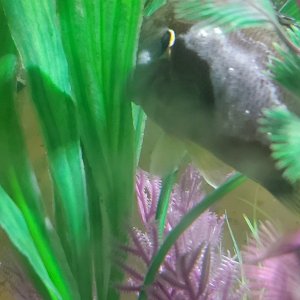 20220930_215627.jpg