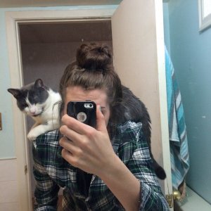 birdcat.jpg
