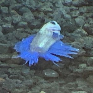 IMG_5375 (1).jpg