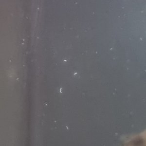 20221017_225828.jpg