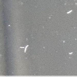 Screenshot_20221018-141856_Magnifying Glass.jpg