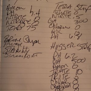 20221022_185921.jpg