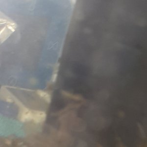 20221022_123358.jpg