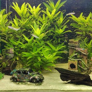120L Tank.jpg