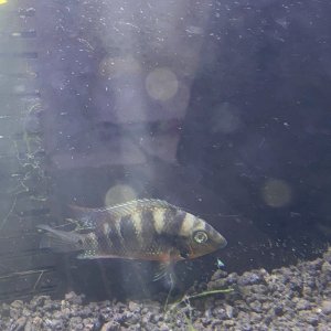 AEEF5C50-E79B-4972-A254-EBCFEB83DF83.jpeg