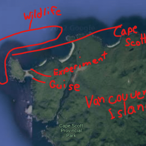1666905544629.png