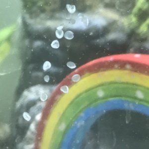 99FDE92D-C803-46A7-AF5F-E58B6135FB21.jpeg