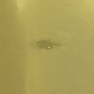 1667940936675.png