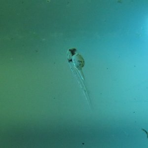 IMG_4384.JPG
