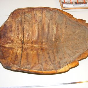 DSCF0728.JPG