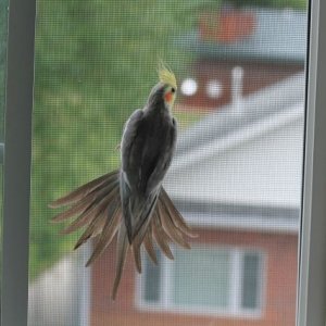 IMG_1979.JPG