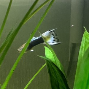 E1262C95-2DBE-49C7-96F0-DF08DE0D333E.jpeg