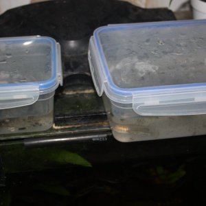 IMG_8137.JPG
