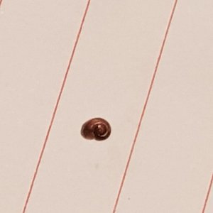 20221206_213113.jpg