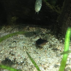 IMG_0005.JPG