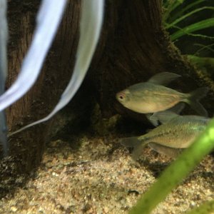 IMG_0008.JPG