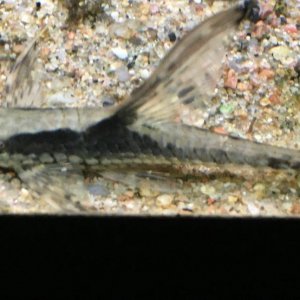 IMG_0012.JPG