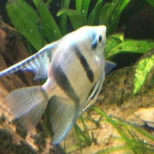 IMG_0002.JPG