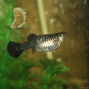 IMG_8252.JPG