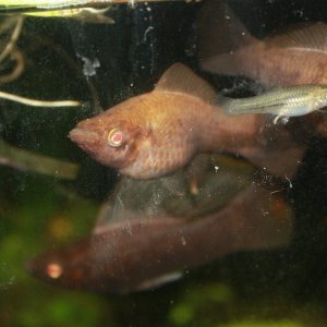 IMG_7930.JPG