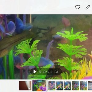 Screenshot_20221213_211026_Gallery.jpg