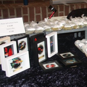 IMG_6953.jpg