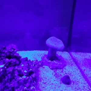 IMG_20230109_172257880.jpg