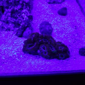 IMG_20230109_172255542.jpg