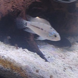 IMG_20230117_142418196.jpg