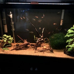 29G.jpg