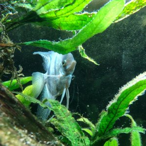 IMG_0076.JPG