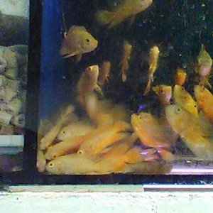 IMG_0020.jpg