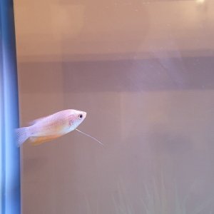 20230129_184631.jpg