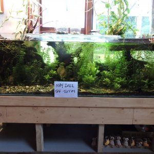 DSCN1401.JPG