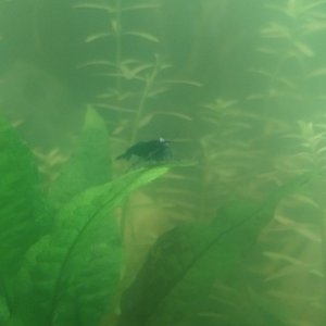 IMG_20230212_161655386.jpg