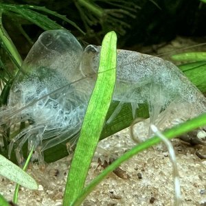 IMG_0536.jpg