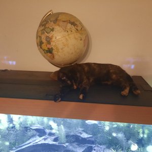 20230217_202216.jpg