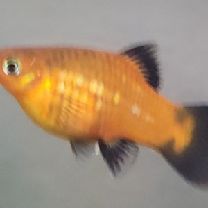 20230305_210919.jpg