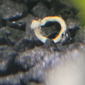 20230305_200019.jpg