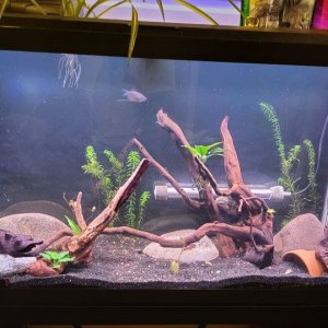 38Gallon_March06_2023.jpg