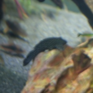DSCF8933.JPG