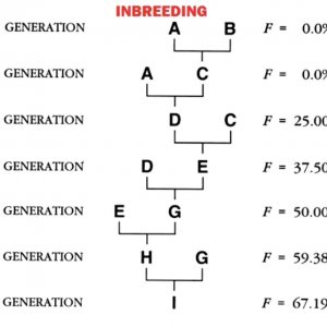 E74FC5D3-E89C-4D76-B467-8F88D03AB262.jpeg