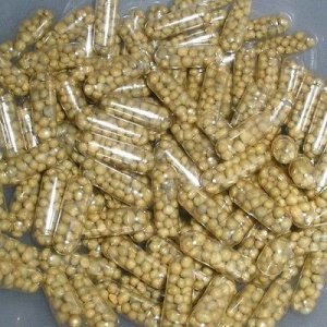 25-Aquarium-Plant-Fertilizer-Root-Tabs-Made-_1-e1508146653114.jpg
