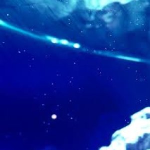 D8547FE8-C18C-4ADD-B605-D8B68ECD4E9B.jpeg