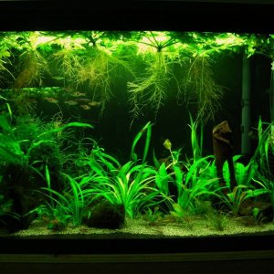 29g Feb 24-12.JPG