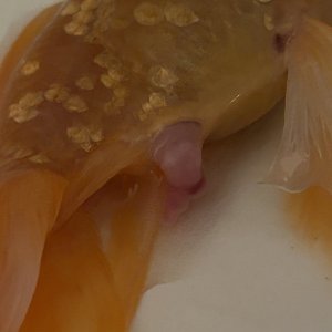 6458233B-7BA0-4BBF-82E2-E64C386D40E7.jpeg