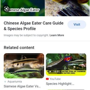 Screenshot_20230401_202431_Google.jpg