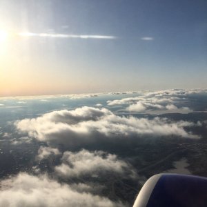 C3849118-CB2F-4799-A487-BD4778228978.jpeg