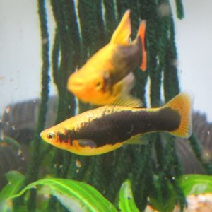 IMG_7062.jpg